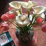 Bed & Breakfast Les Asphodeles Amelie Saint-Hippolyte-du-Fort