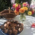 Bed & Breakfast Les Asphodeles Amelie 4*