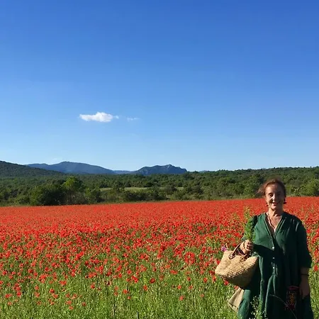 Les Asphodèles Couette-café Saint-Hippolyte-du-Fort