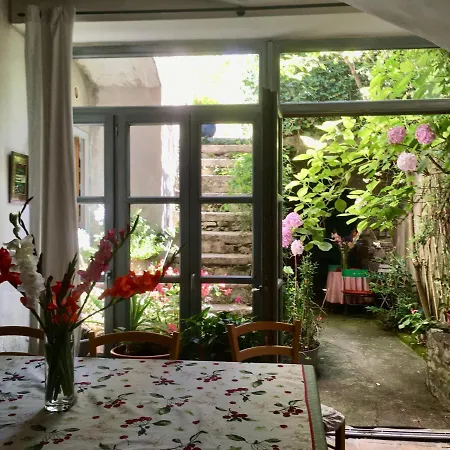 Les Asphodèles Saint-Hippolyte-du-Fort