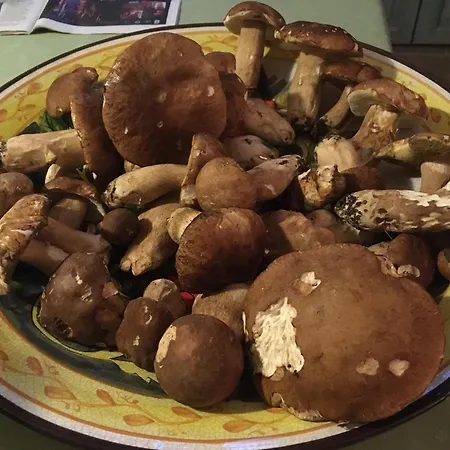 Les Asphodèles 4* Saint-Hippolyte-du-Fort