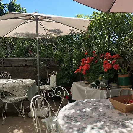 Les Asphodèles Saint-Hippolyte-du-Fort