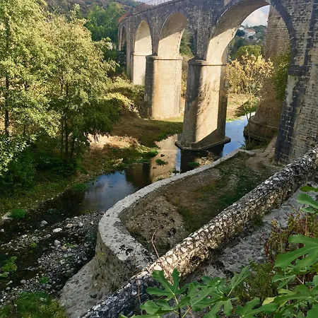 Les Asphodèles Couette-café Saint-Hippolyte-du-Fort