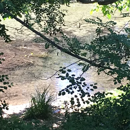 Les Asphodèles 4* Saint-Hippolyte-du-Fort