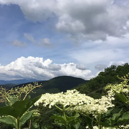 Les Asphodèles Couette-café