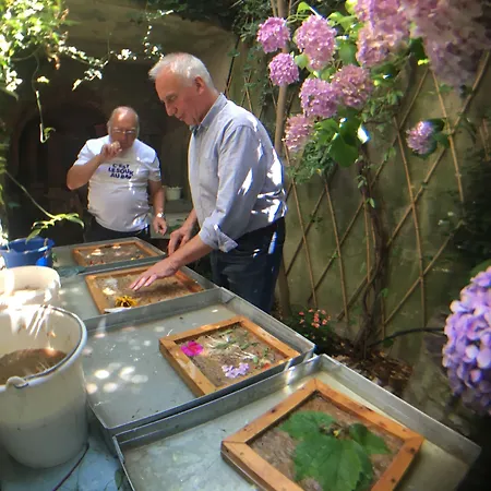 Couette-café Les Asphodèles 4*