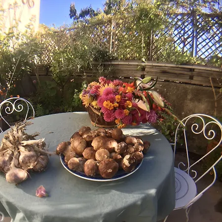 Les Asphodèles Couette-café 4*