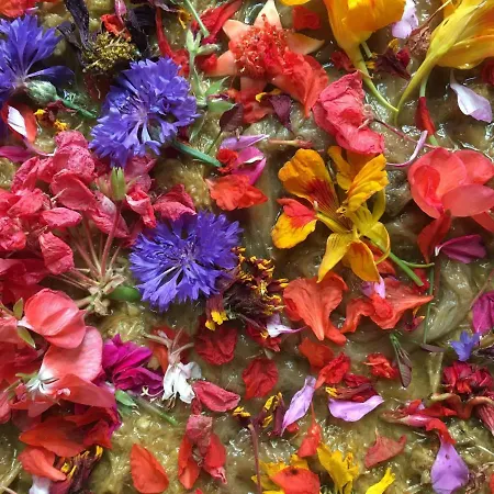 Couette-café Les Asphodèles 4*