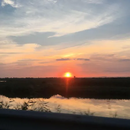 Les Asphodèles Couette-café