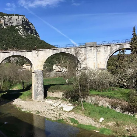 Les Asphodeles