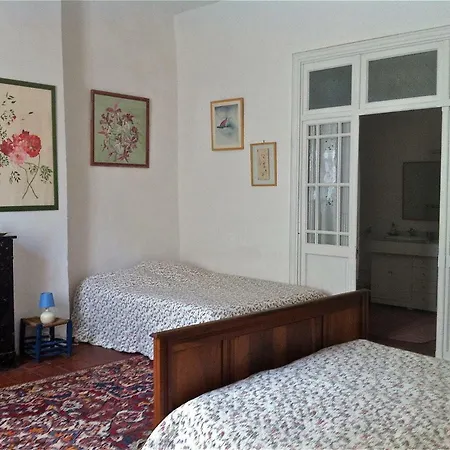 Les Asphodèles Saint-Hippolyte-du-Fort