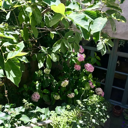 Les Asphodèles Couette-café Saint-Hippolyte-du-Fort