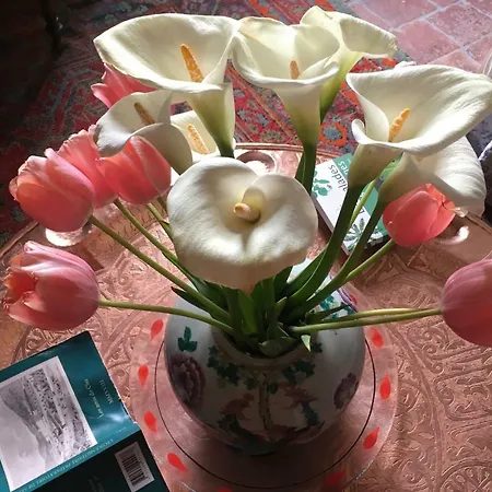 Couette-café Les Asphodèles Saint-Hippolyte-du-Fort