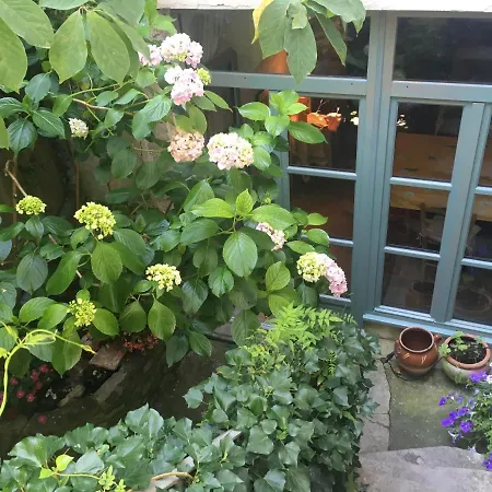 Les Asphodeles Bed and breakfast Saint-Hippolyte-du-Fort