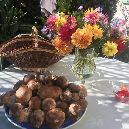 Couette-café Les Asphodèles 4*