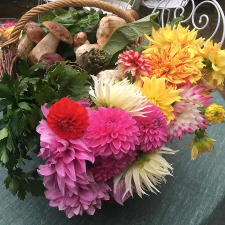 Les Asphodèles Couette-café 4*